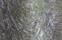 Gillbent fibreglass roof work